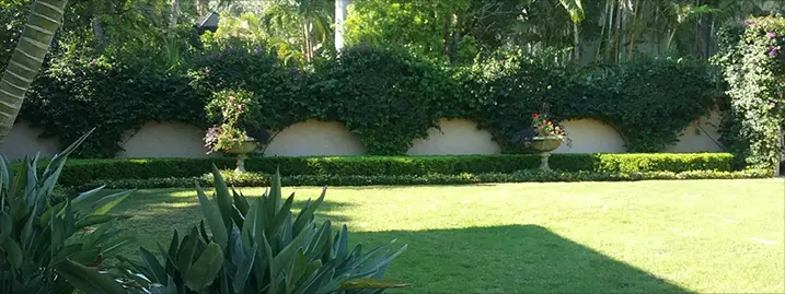 Landscaping, Sarasota FL