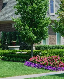 Landscape Maintenance