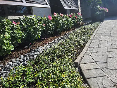 Landscape Design, Sarasota, FL