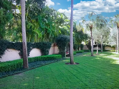 Landscape Maintenance, Sarasota, FL